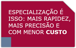 Merit Seguros - Especialização, rapidez e menor custo