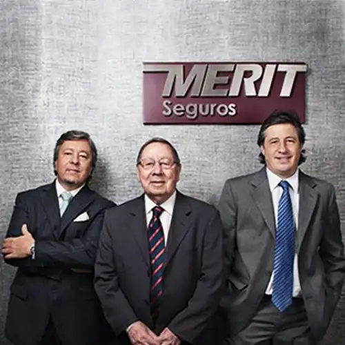 Merit Seguros - Especialistas